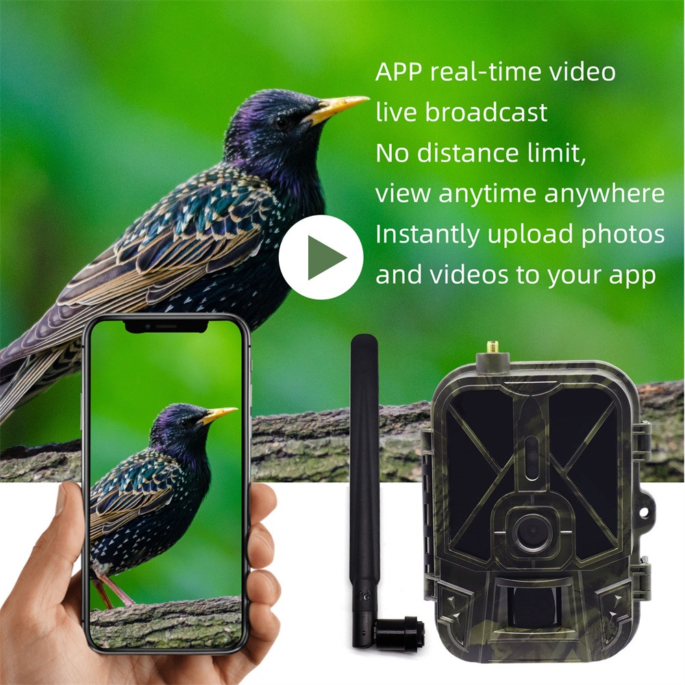 Hunting Outdoor Shows - Outdoor 4G 120MP 4K Live Show