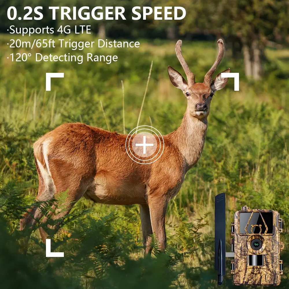 1Pcs HD8K Infrared Camera For  - Outdoor Hunting Camera Wifi review and price