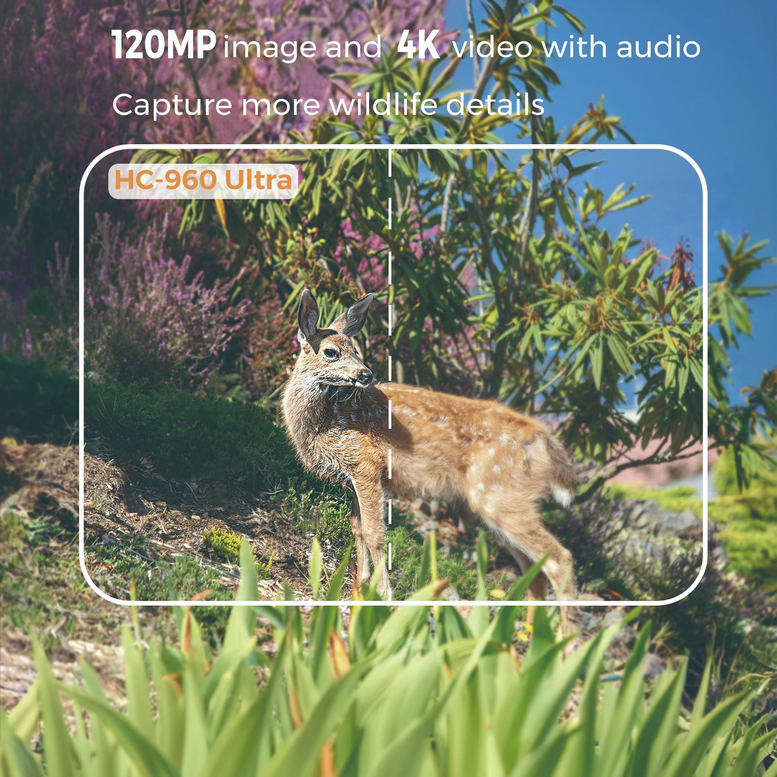 Outdoor 4K Video 120MP Photo 4 - Outdoor Hunting Video Camera review and price