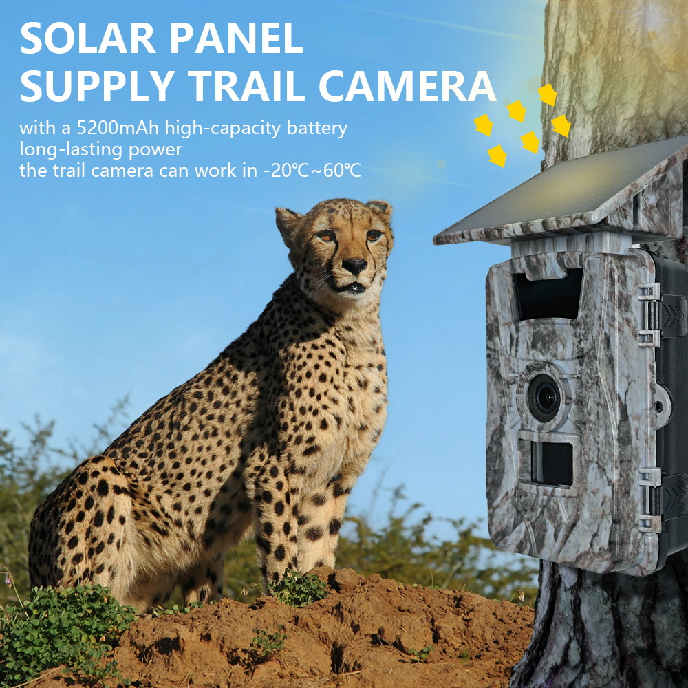 Solar WiFi 4K 60MP Hunting Cam - Outdoor Hunting Camera Wifi review and price