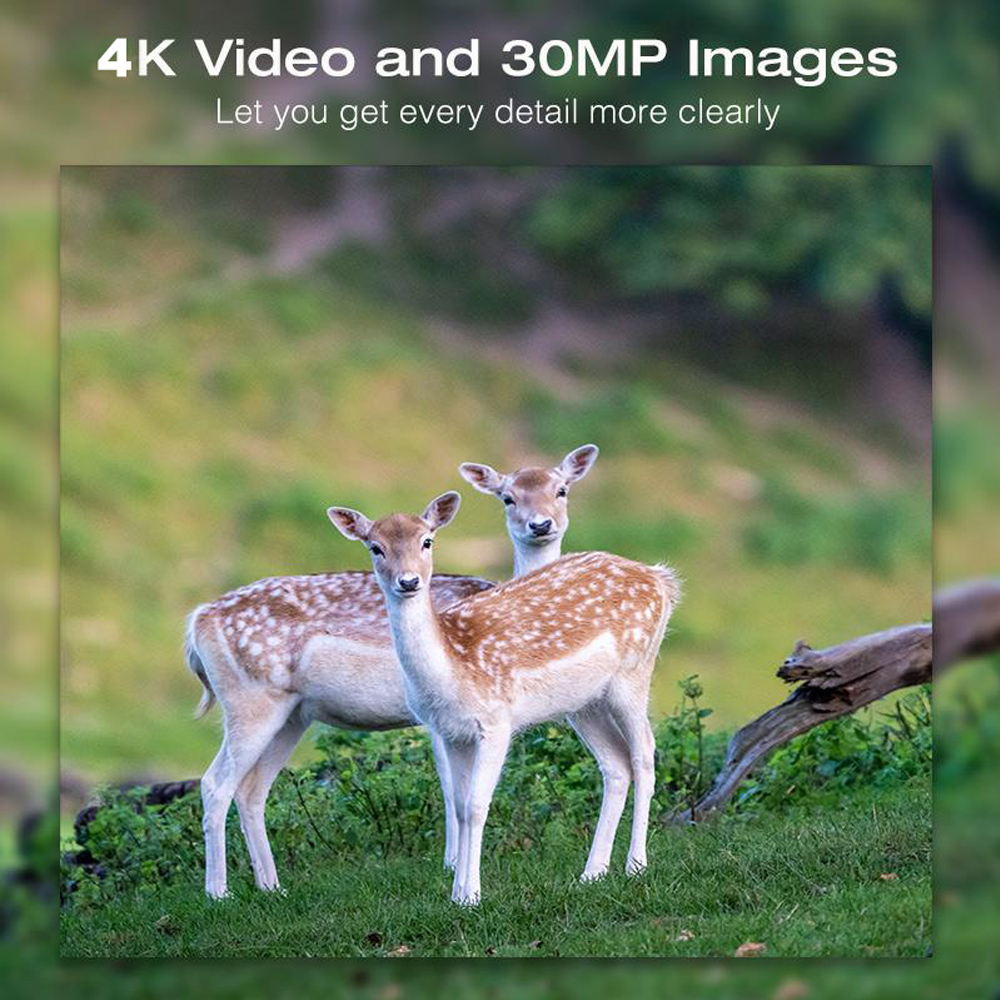 Solar Panel Hunting Camera 4K  - Outdoor Hunting Camera Wifi review and price