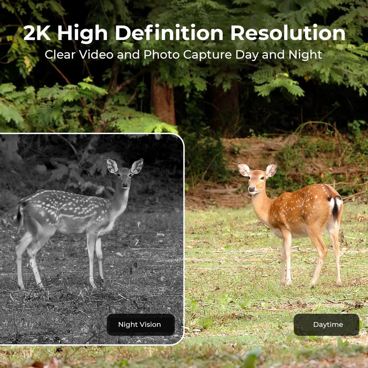 EU 4G Cellular 2K Battery Sola - Outdoor Hunting Video Camera review and price