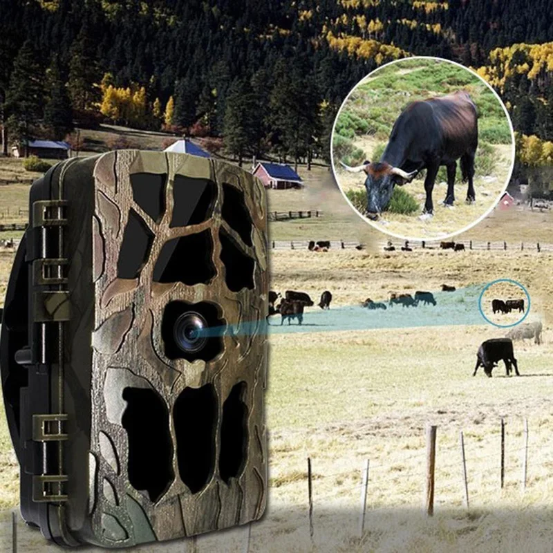 H982 IP66 Waterproof 4K Outdoo - Outdoor Hunting Video Camera review and price