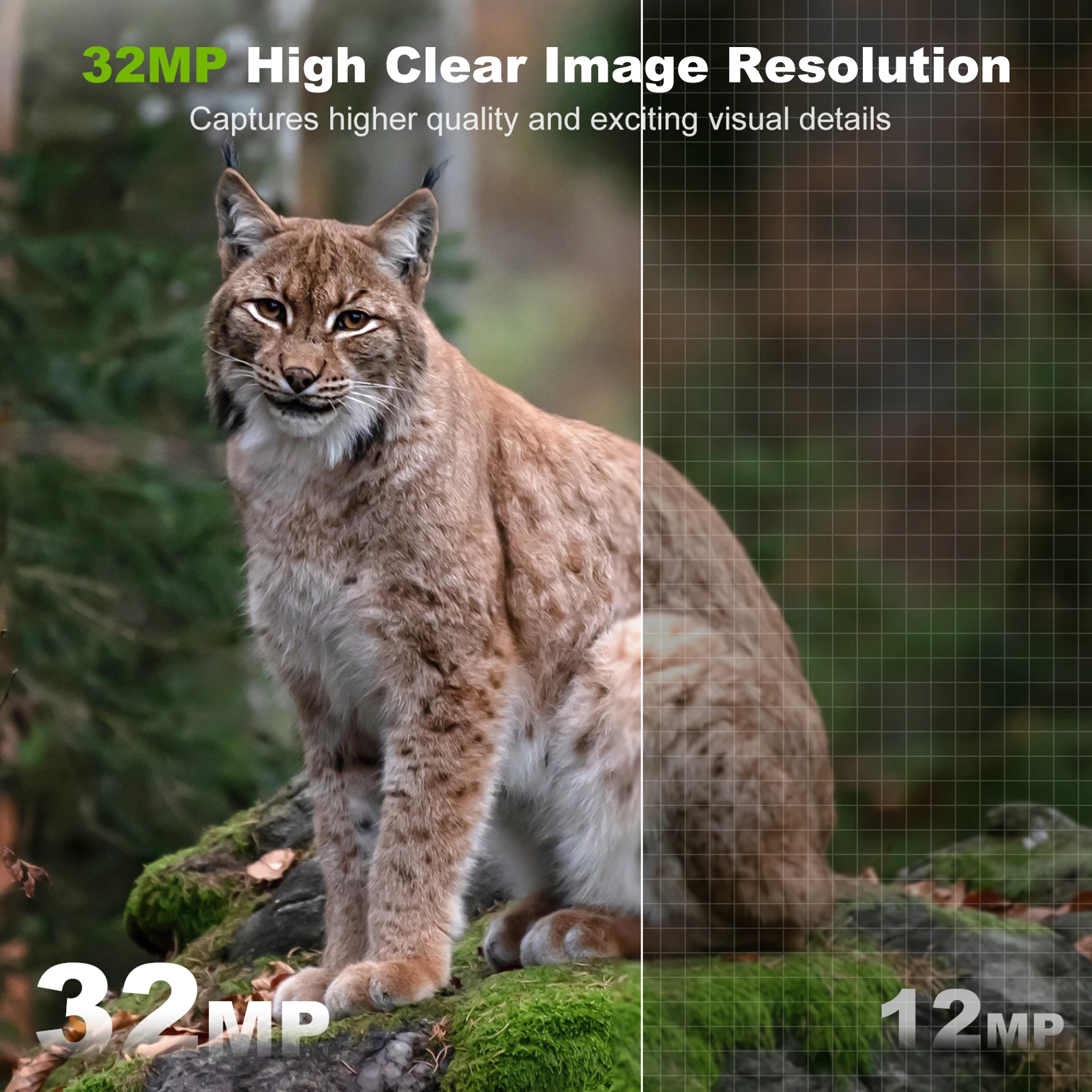 Solar Camera Outdoor Wireless  - Outdoor Hunting Camera Wifi review and price